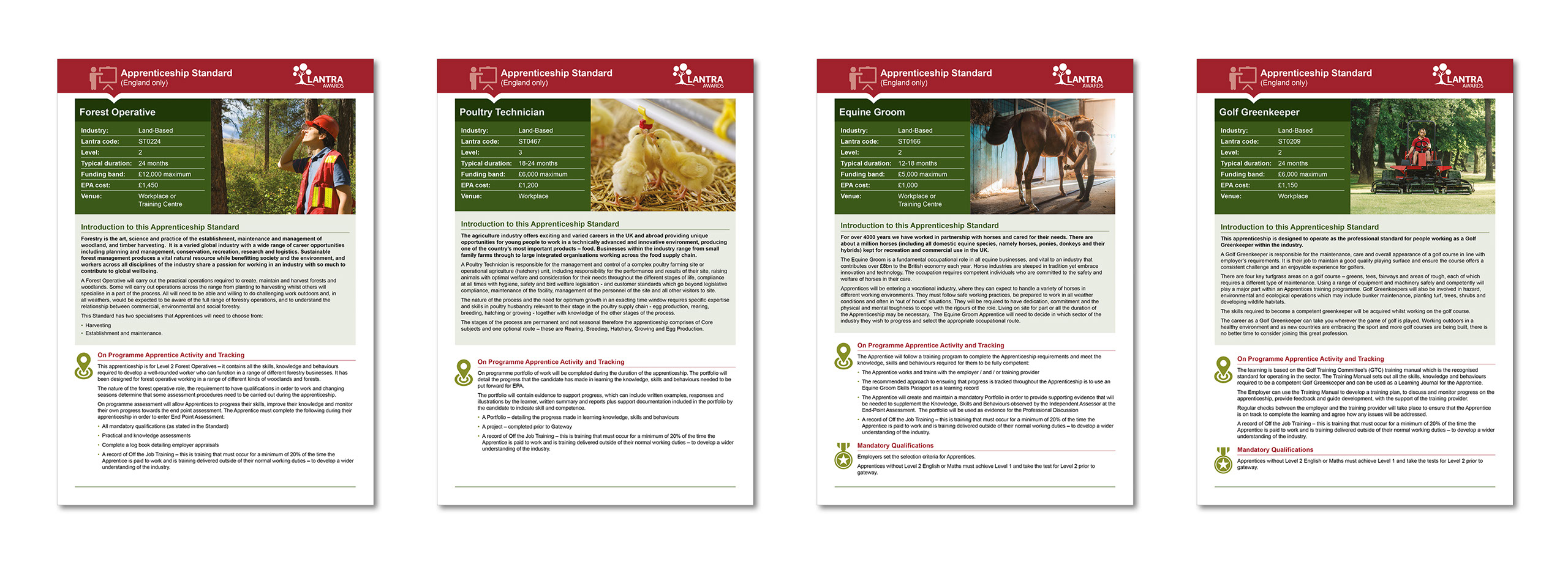 Branding design by neil henderson freelance graphic designer